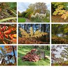 Herbst-Collage 1