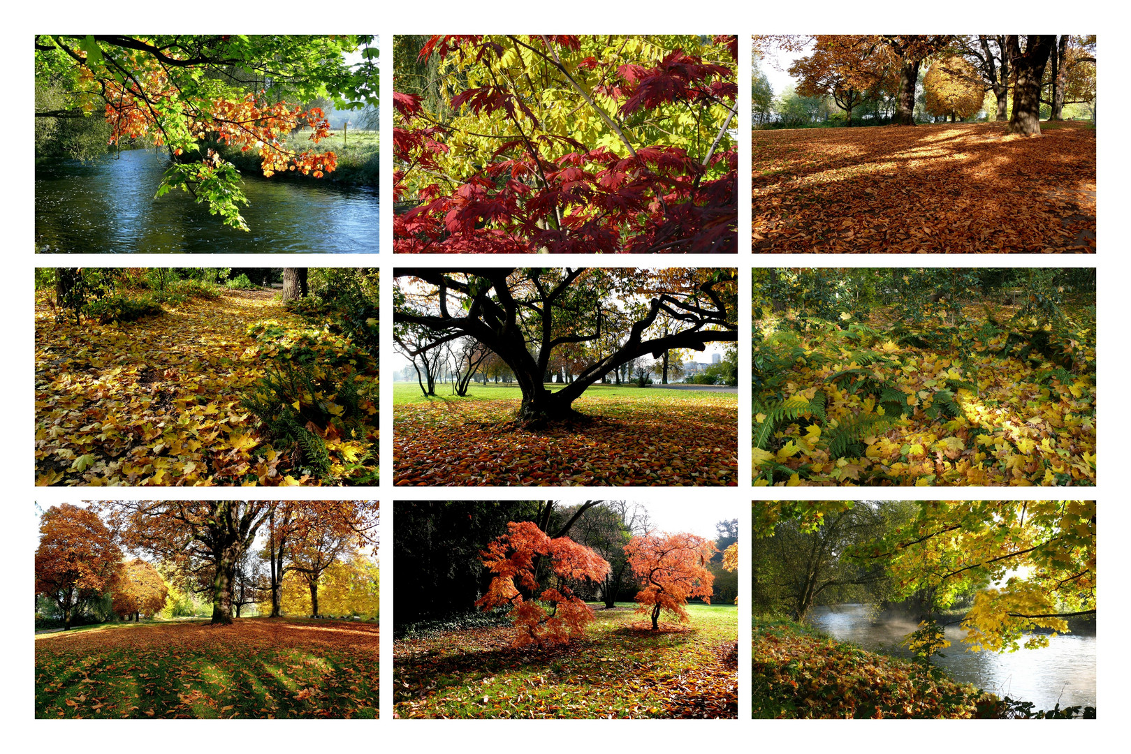 Herbst-Collage (1)