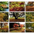 Herbst-Collage (1)