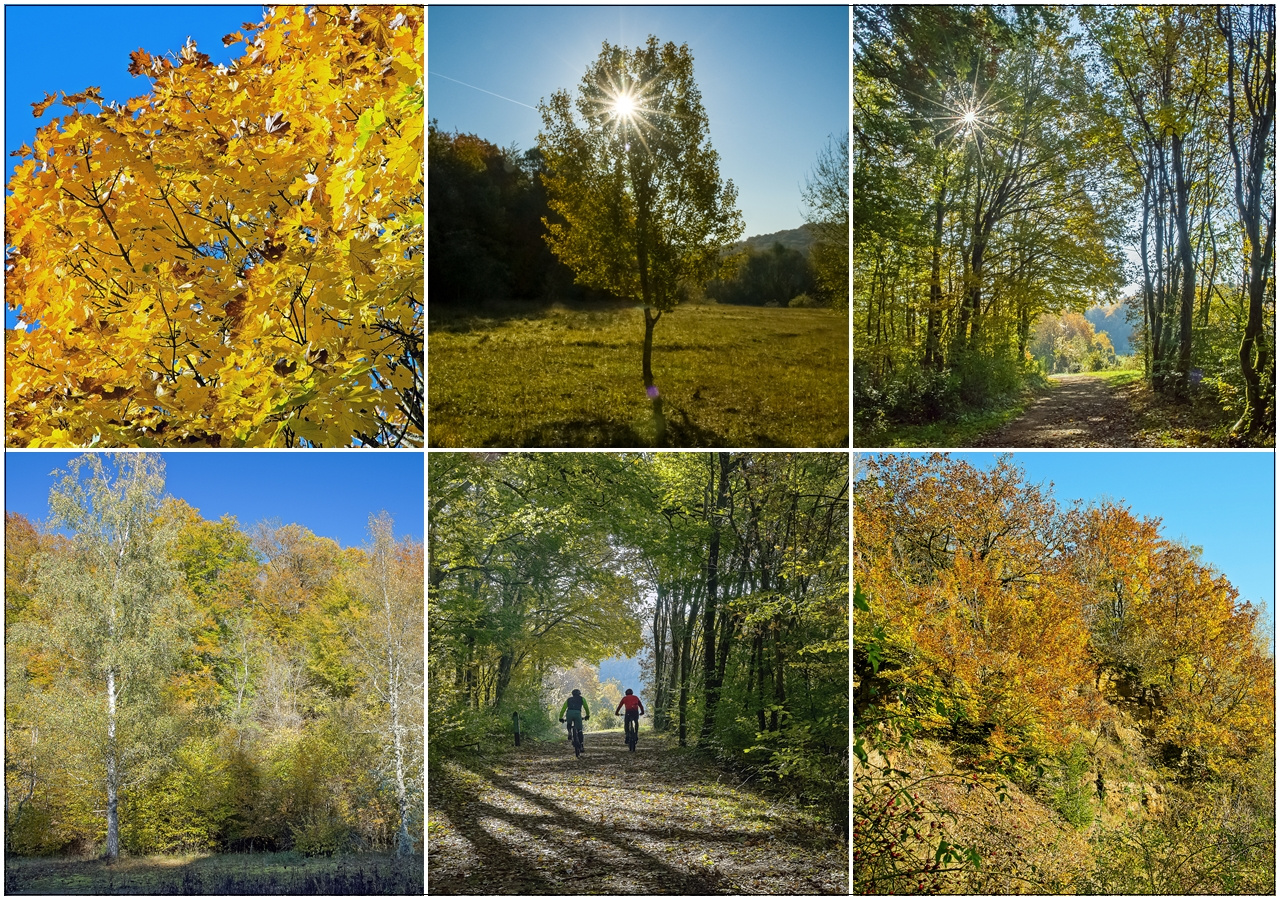 Herbst Collage