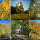 Herbst Collage