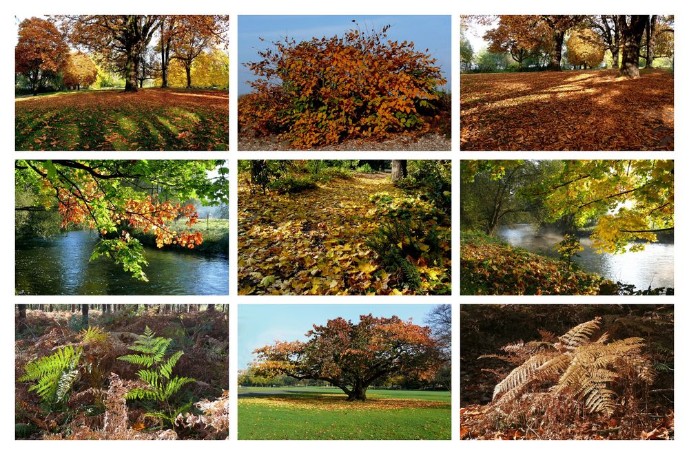 Herbst-Collage 2