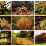 Herbst-Collage 2012 - 1
