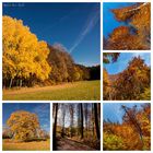 Herbst (Collage)