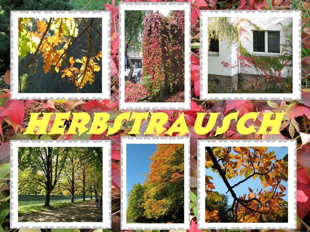 Herbst-Collage