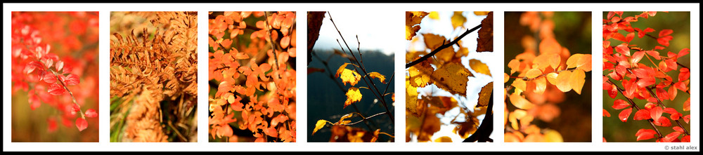 herbst collage