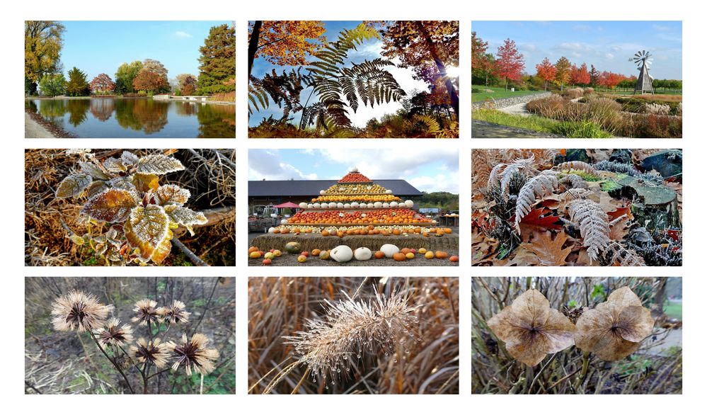 Herbst-Collage 