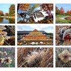 Herbst-Collage 