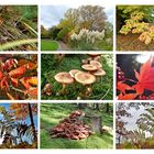 Herbst-Collage 