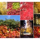 Herbst Collage