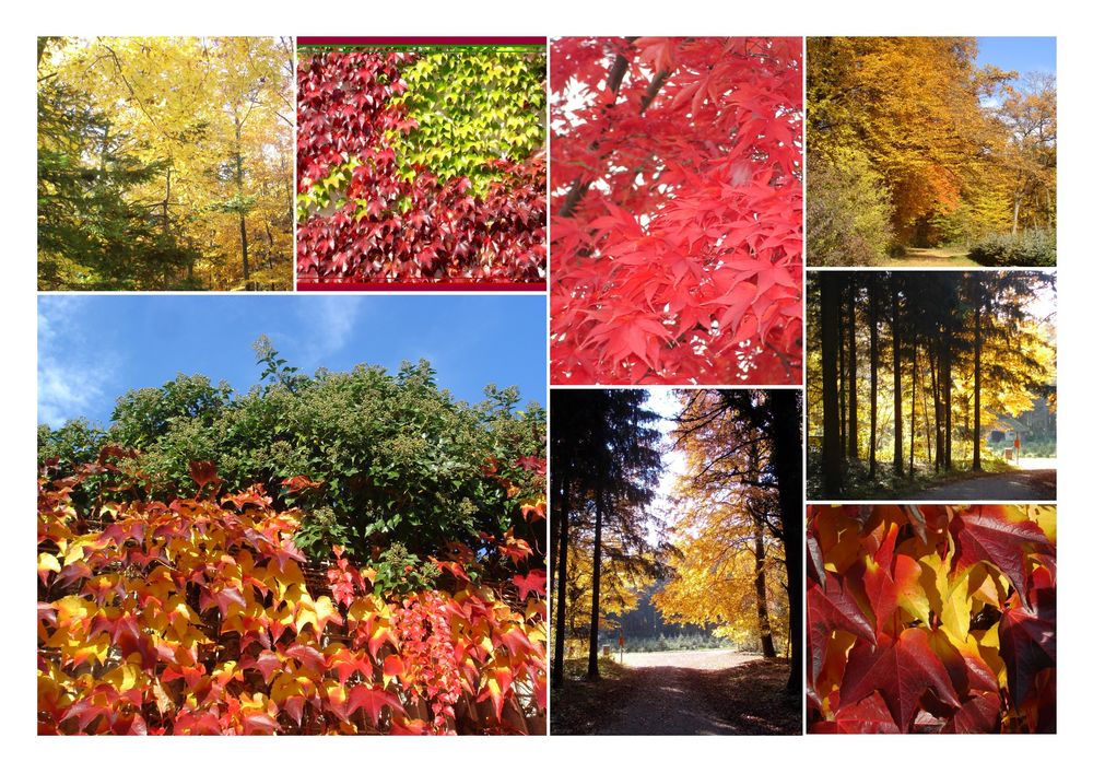 Herbst Collage