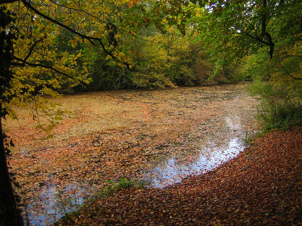 Herbst