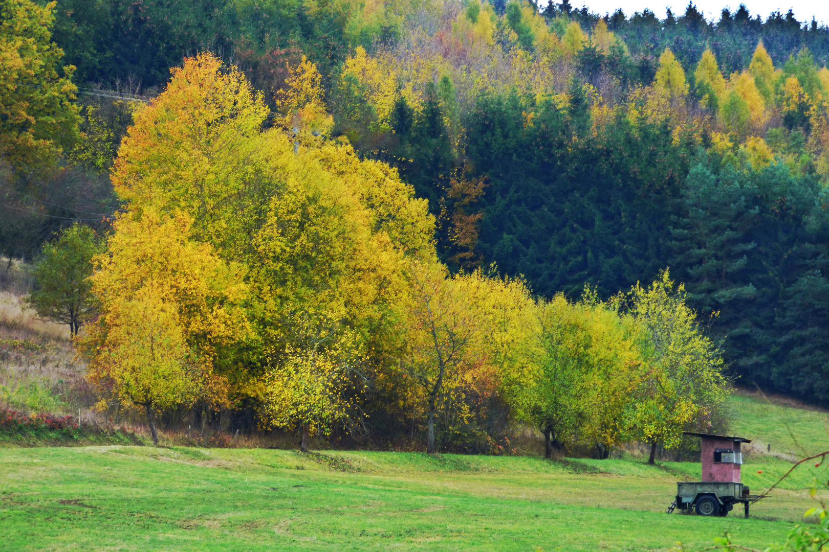 Herbst  