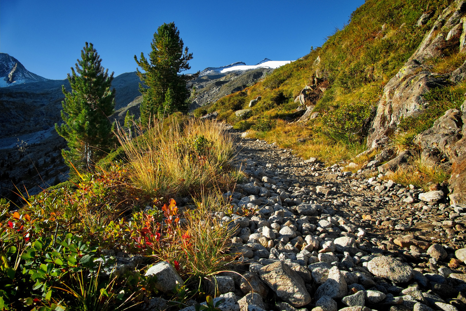 Herbst