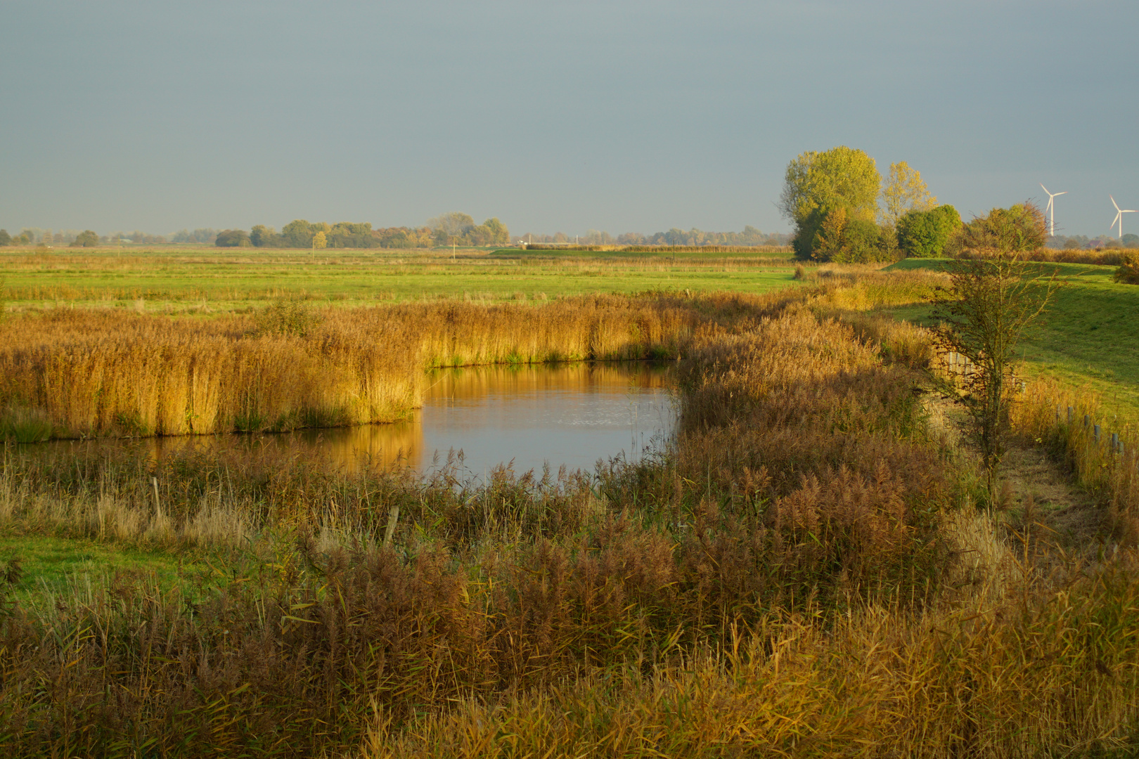 Herbst 