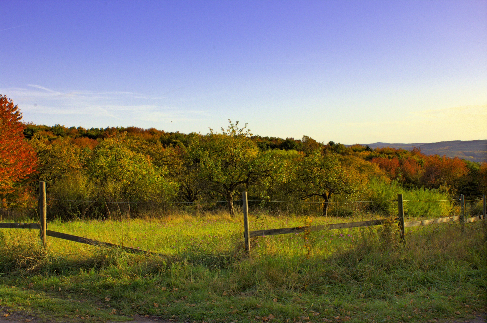 Herbst