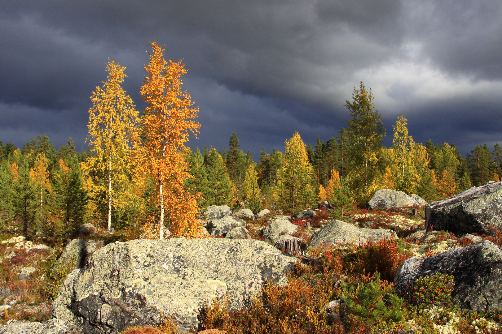 Herbst