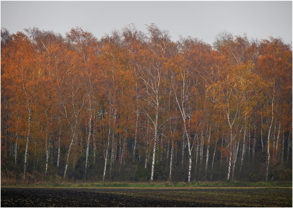 Herbst