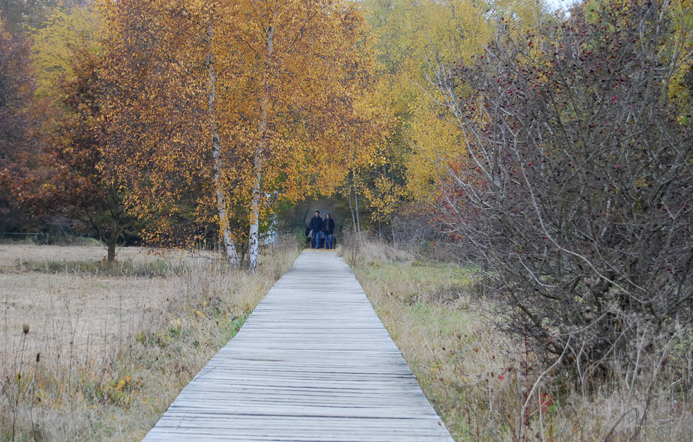 Herbst