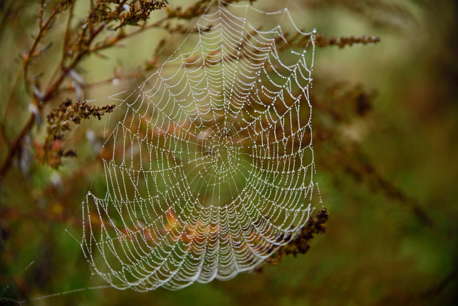 Herbst.