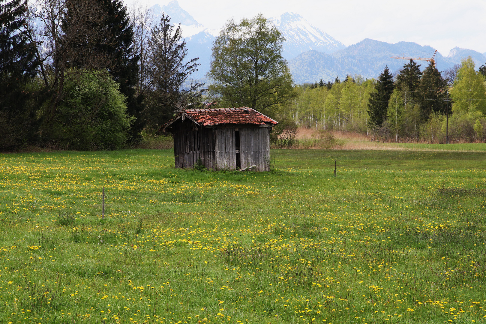 Herbst