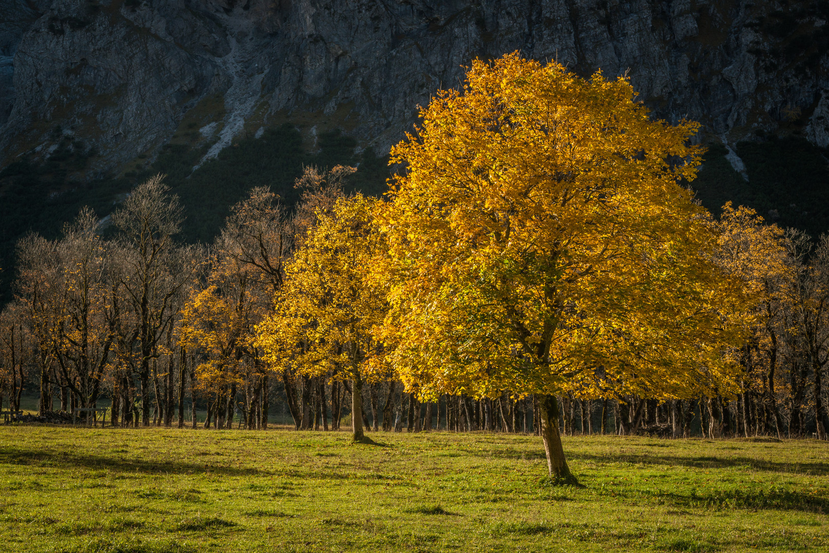 Herbst