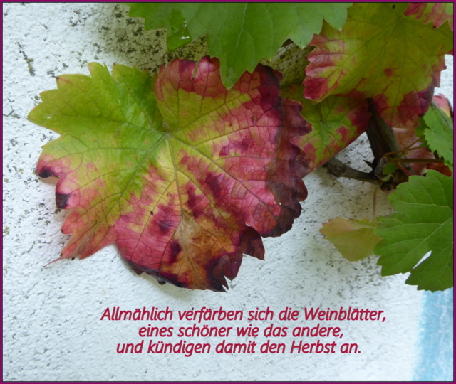 Herbst