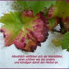 Herbst