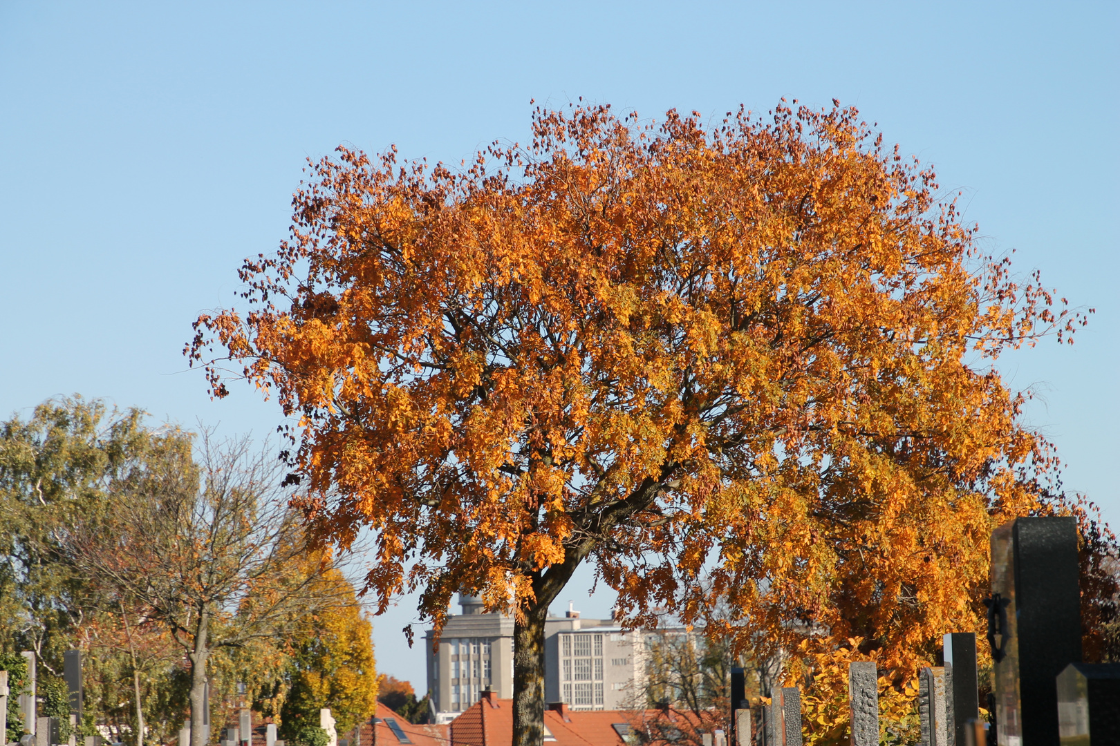 Herbst