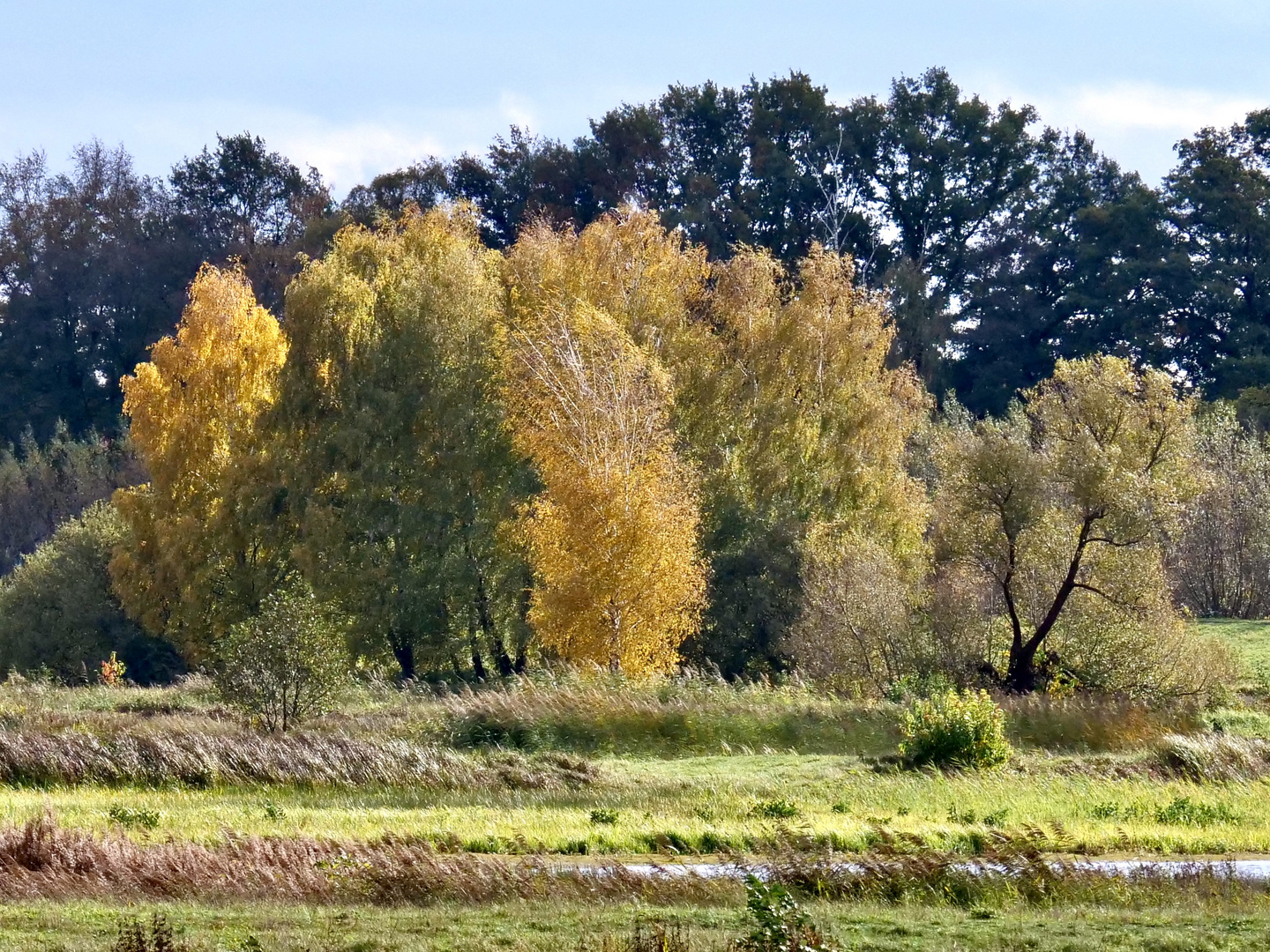 Herbst