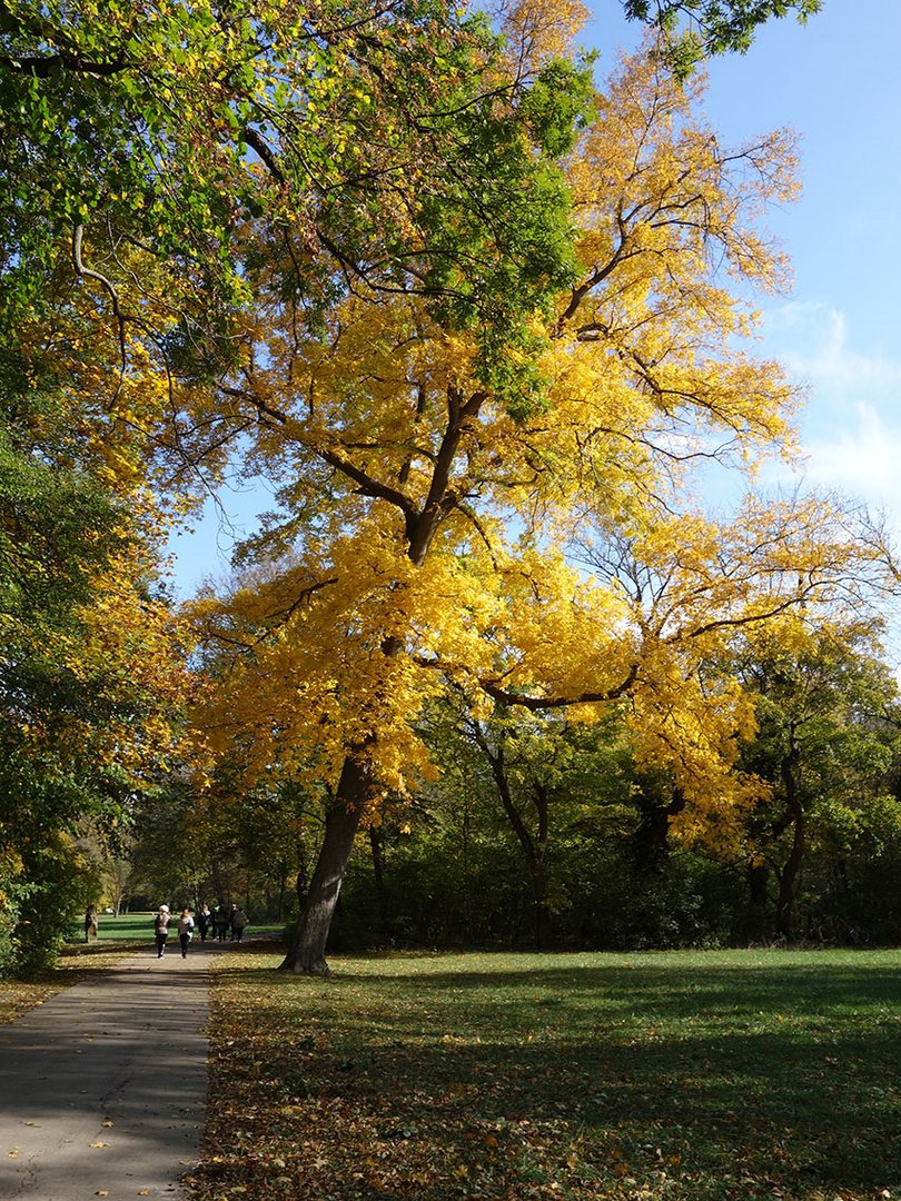 Herbst