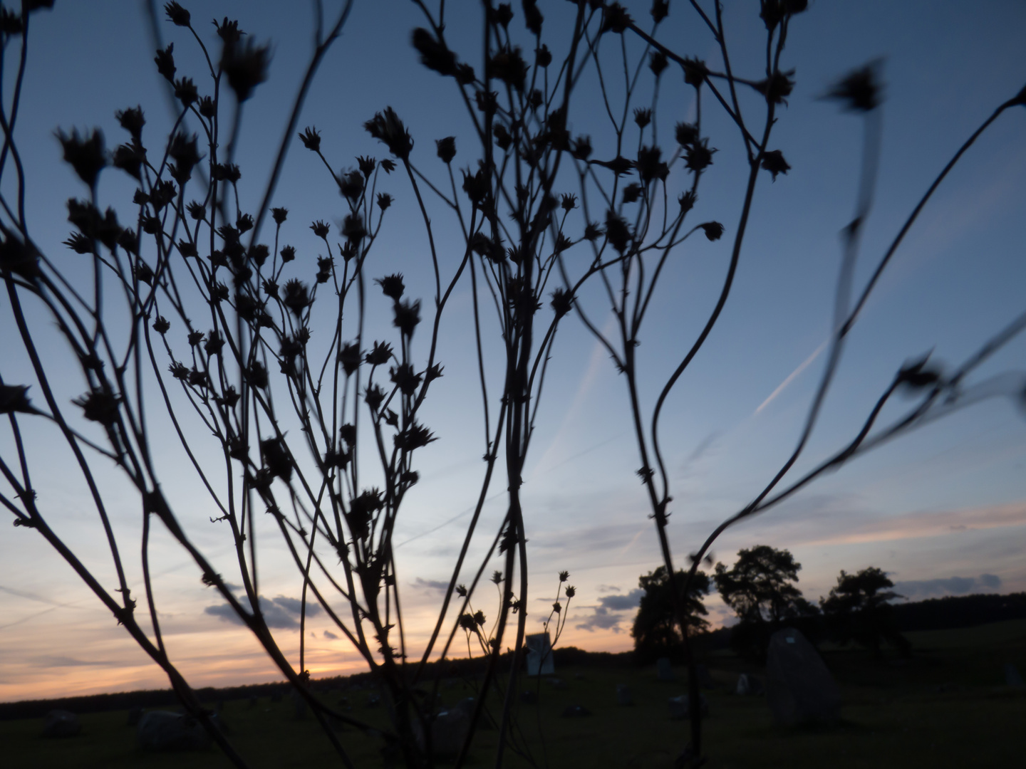 Herbst Dämmerung