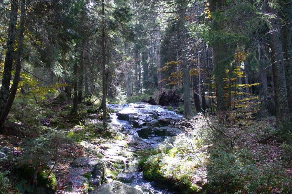 Herbst daheim