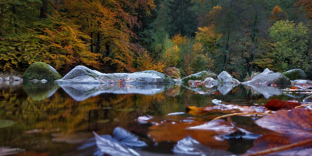 Herbst daheim im Nordschwarzwald