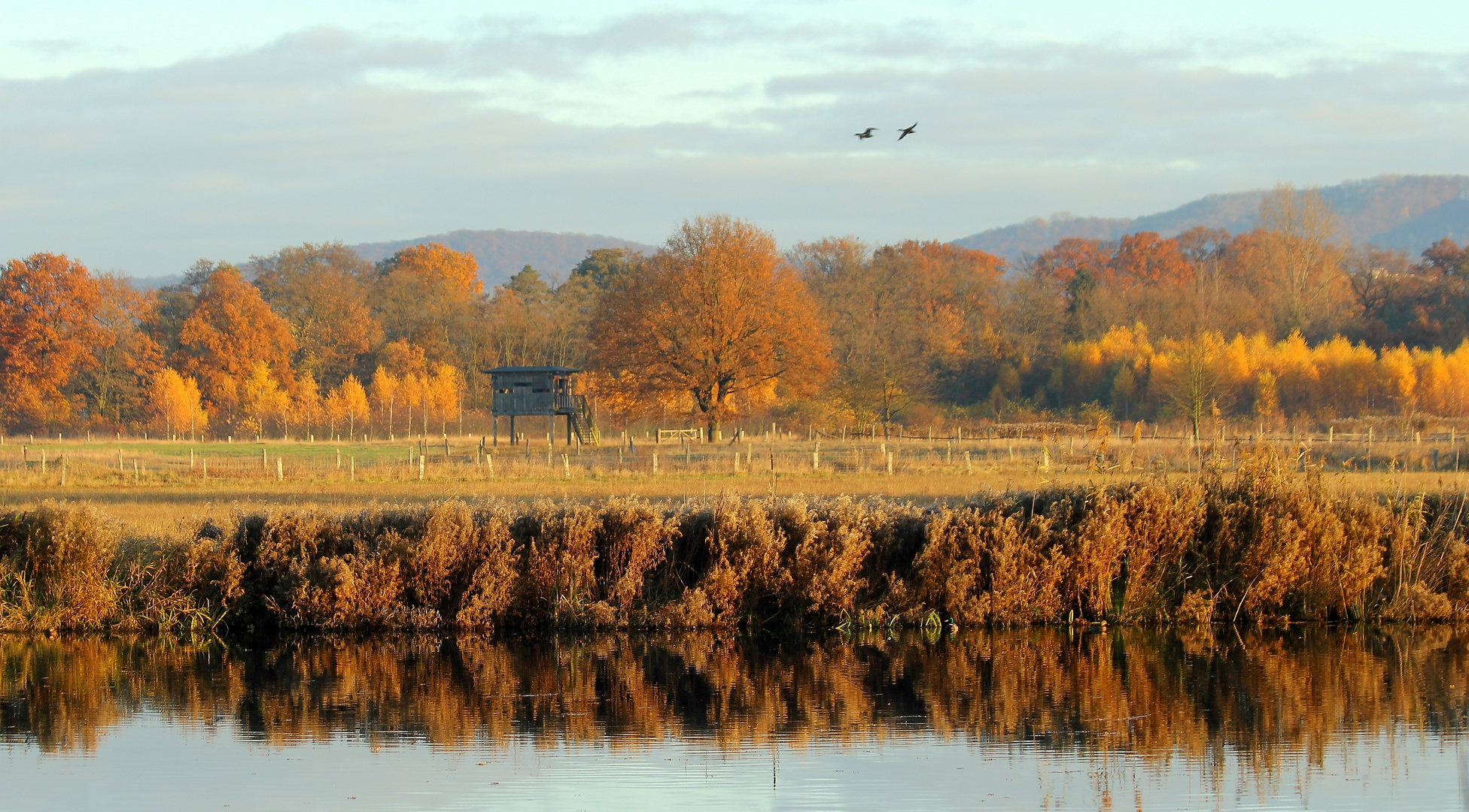 Herbst