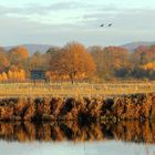 Herbst