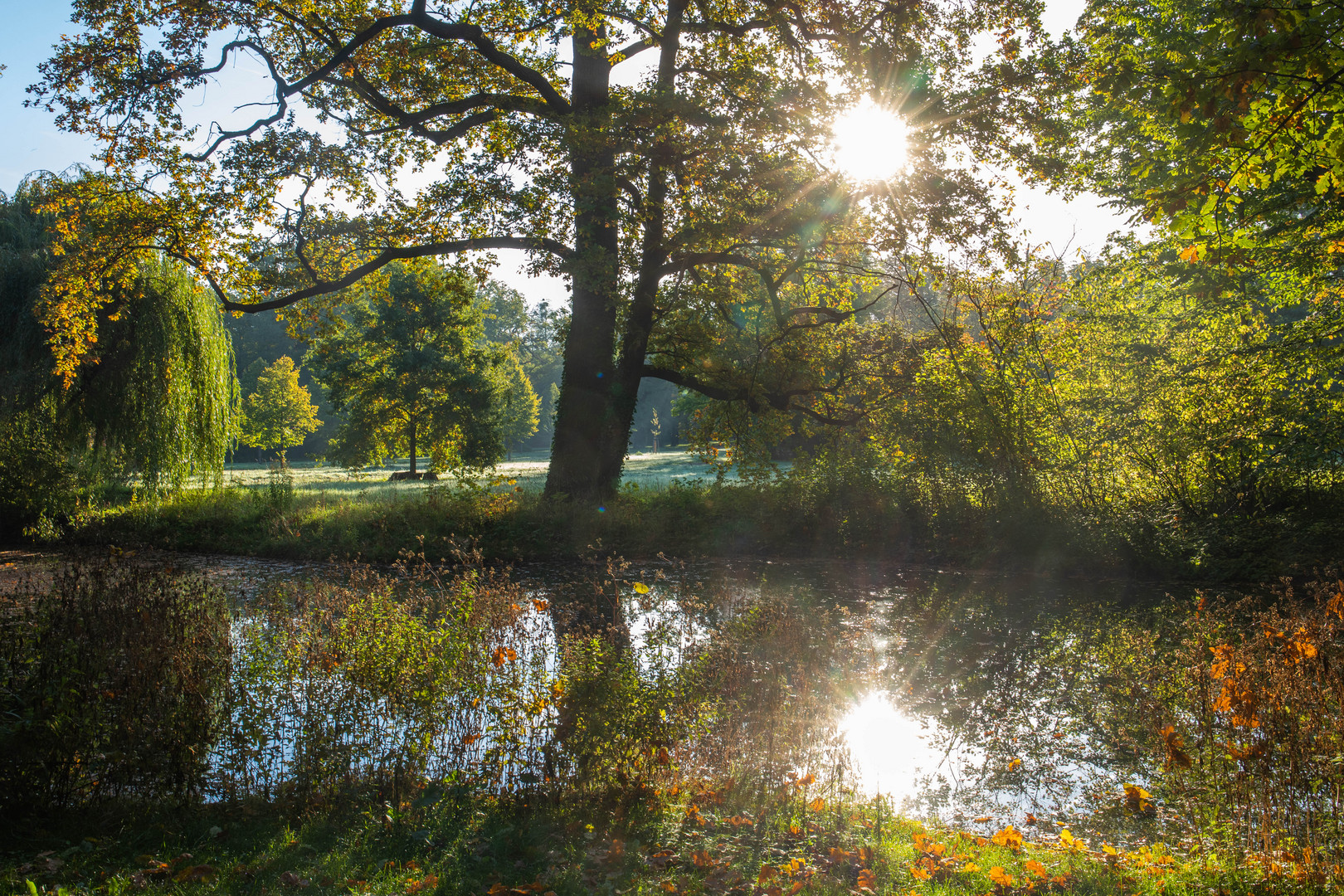 Herbst