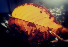 Herbst.. 