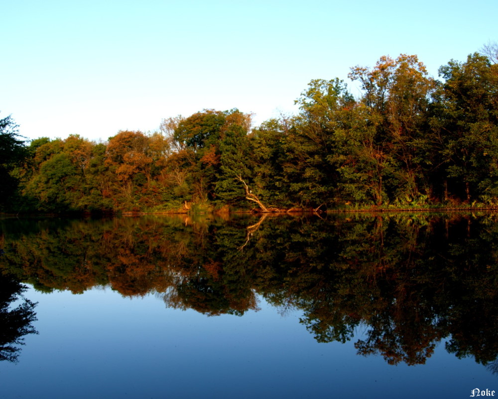 Herbst