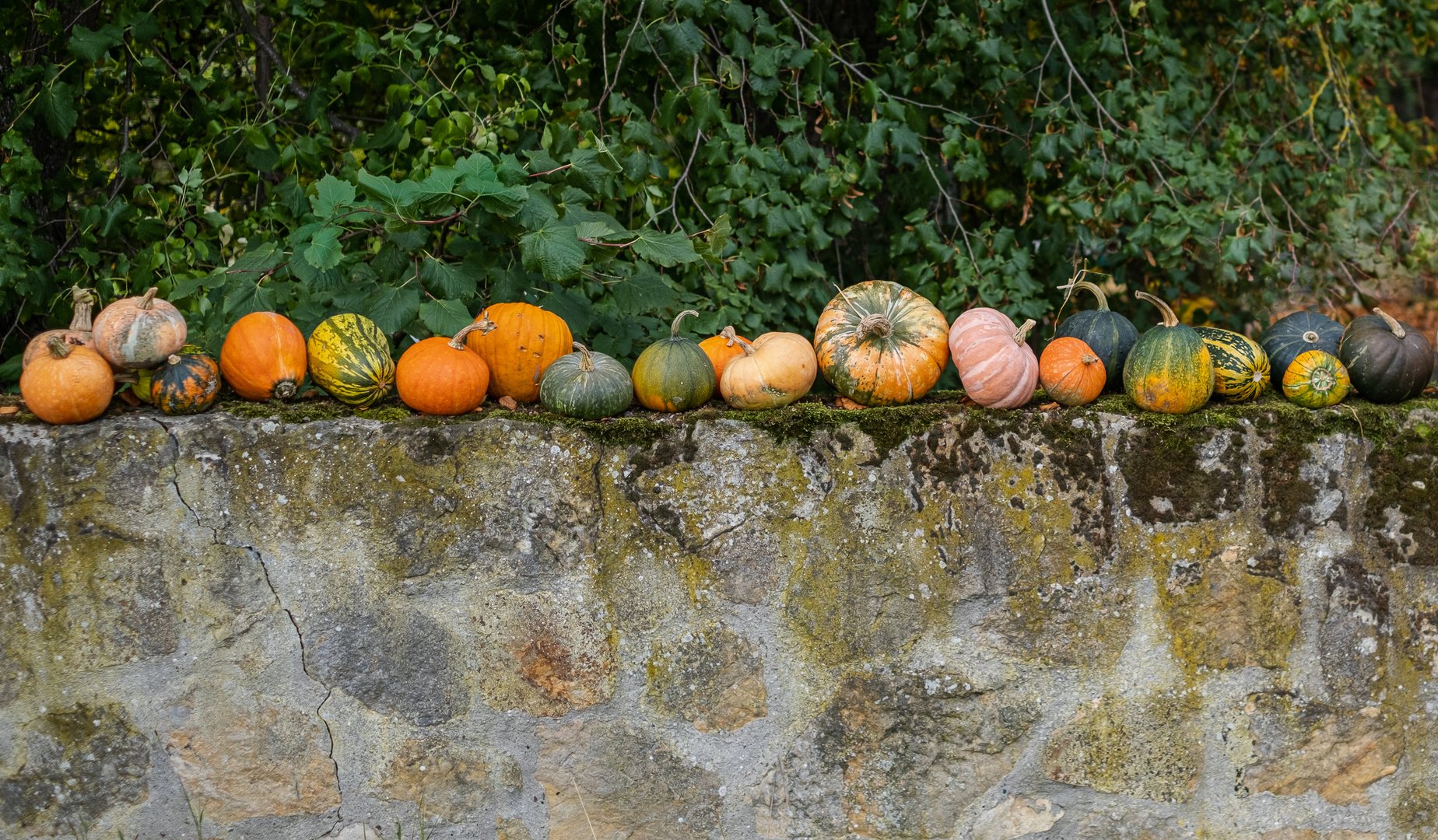 Herbst-Dekoration