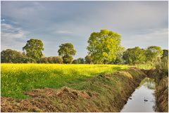 Herbst der aussieht wie Frühjahr