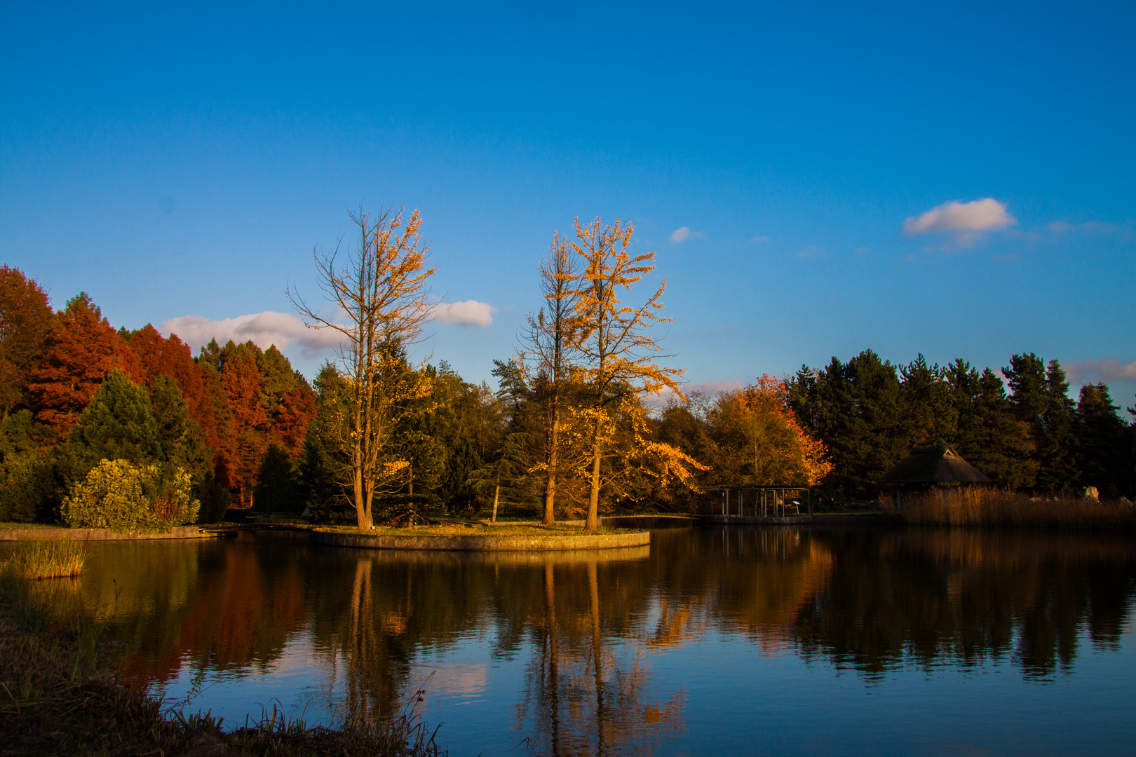 Herbst, der goldene Herbst ...