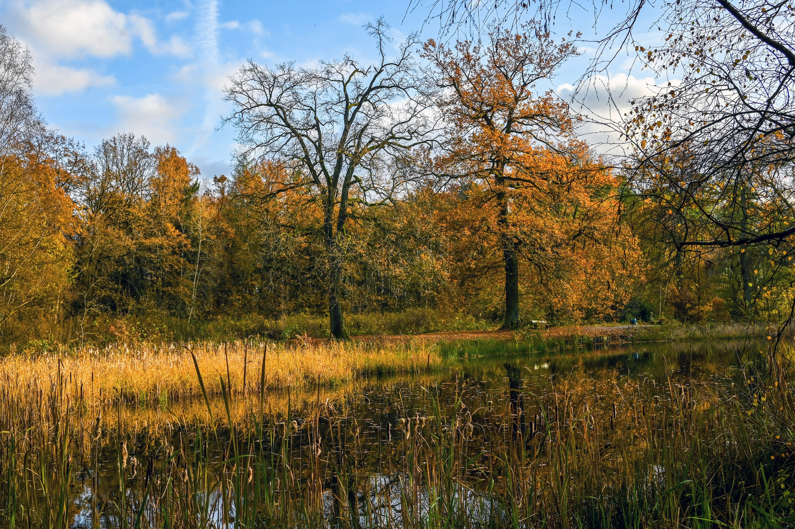 Herbst der Maler !