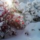 Herbst - der Schreck im vorigen Herbst