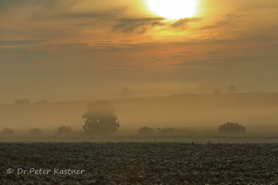 Herbst - der Tag erwacht ...