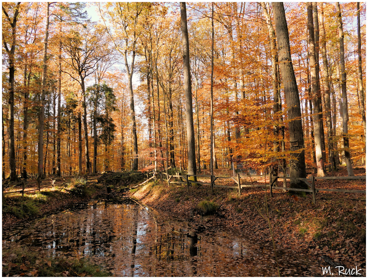 Herbst , der Wasserstand ist noch sehr niedrig 