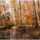 Herbst , der Wasserstand ist noch sehr niedrig 