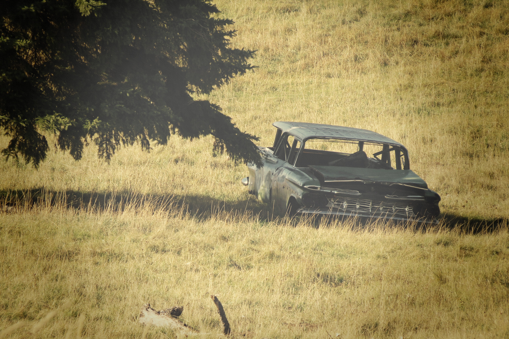 Herbst des Autos.