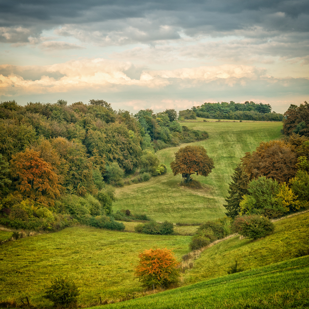 Herbst des Jahres