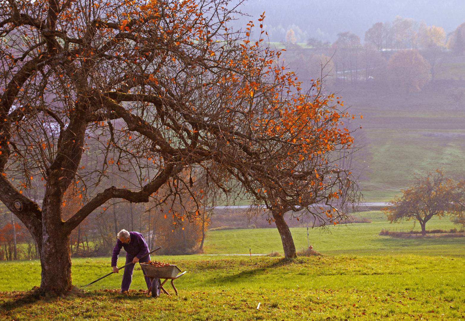 Herbst des Lebens